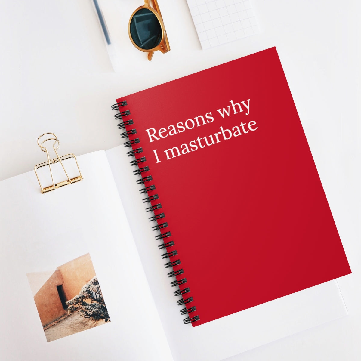 Reasons Why I Masturbate Funny Notebook