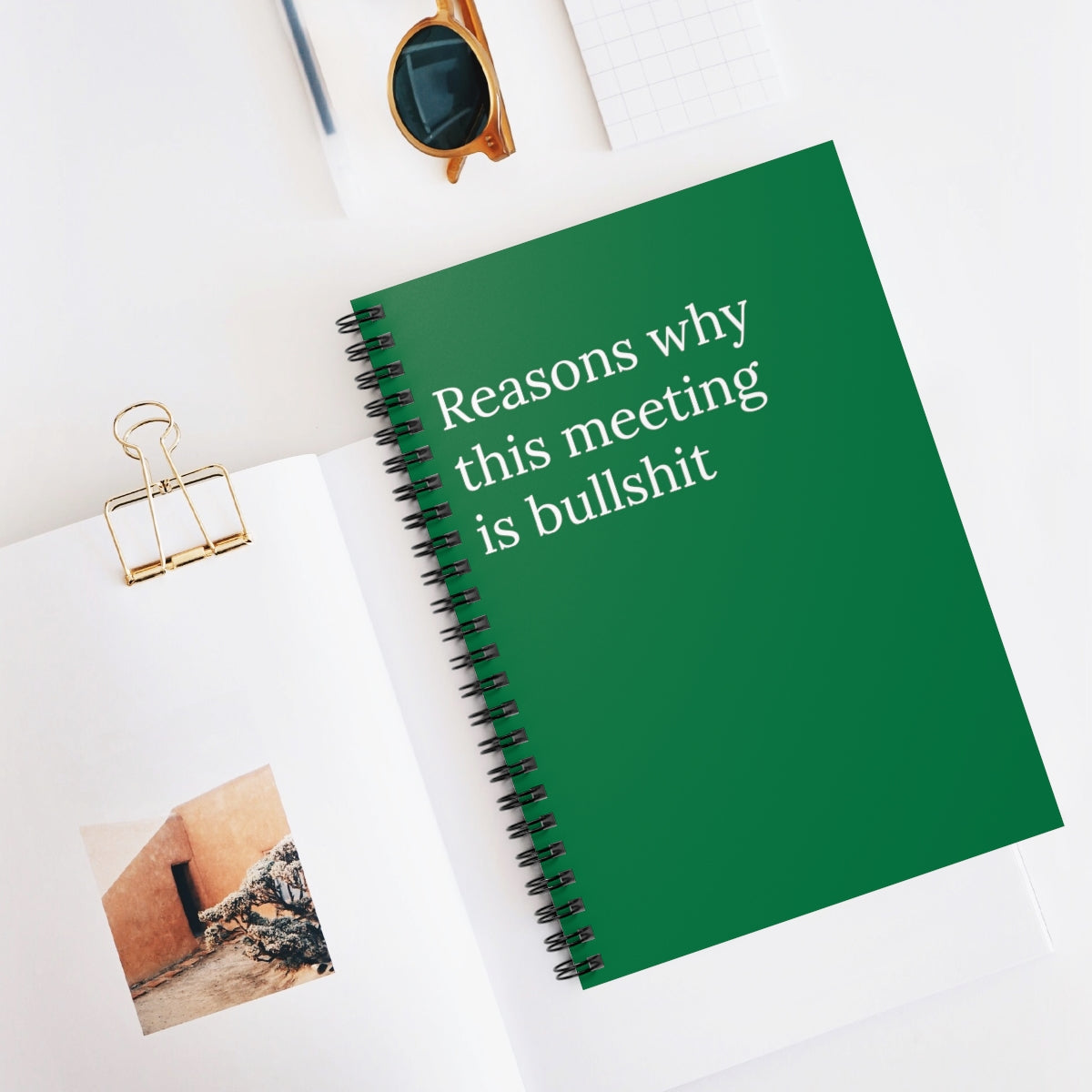 Reasons Why this meeting is bullshit Spiral funny notebook
