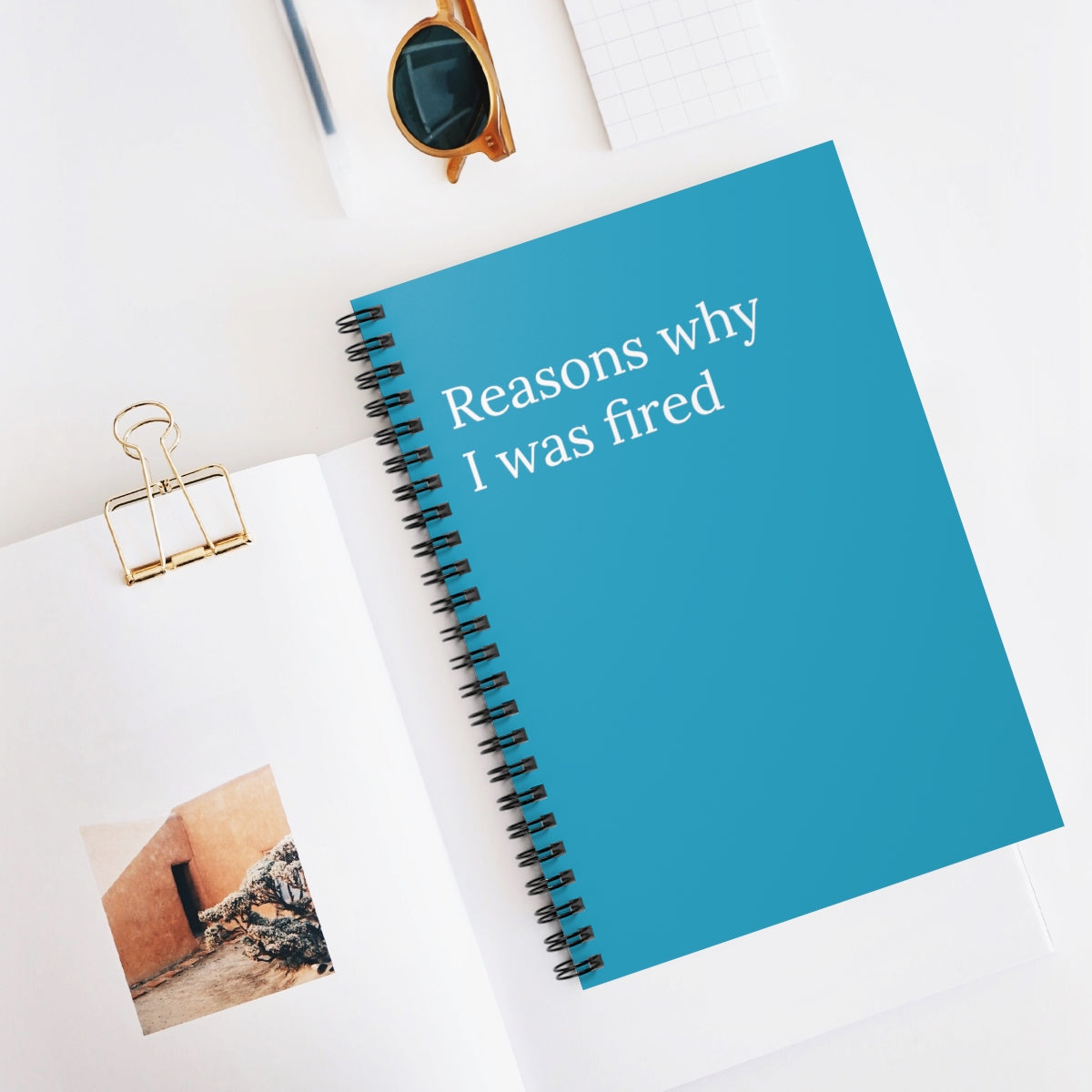 Reasons Why I was fired Spiral Funny notebook