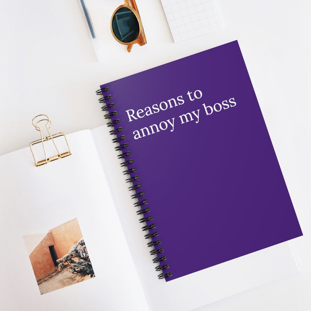 Reasons to Annoy My Boss Spiral funny notebook