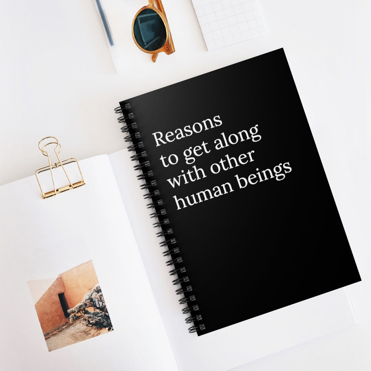 Reasons To Get Along with Other Human Beings Funny Notebook