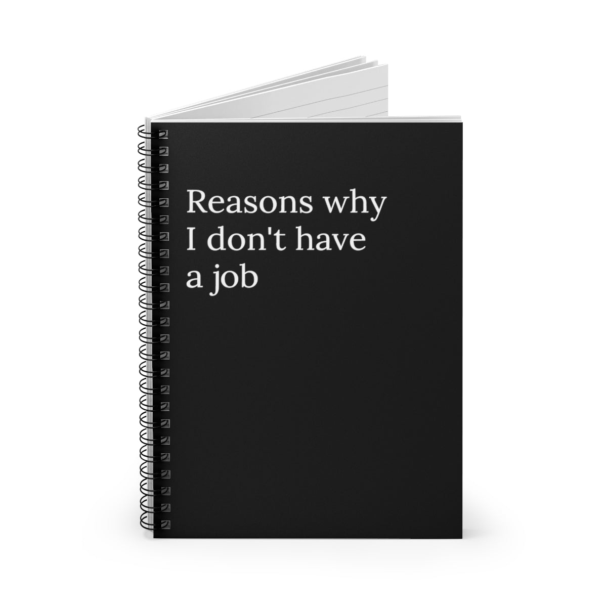 Reasons Why I don't have a job funny Notebook