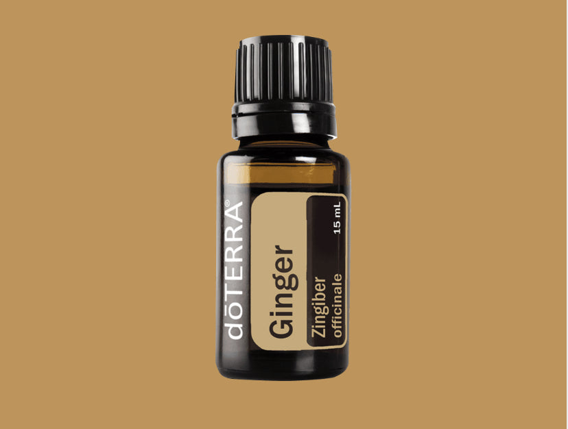 Ginger Essential Oil