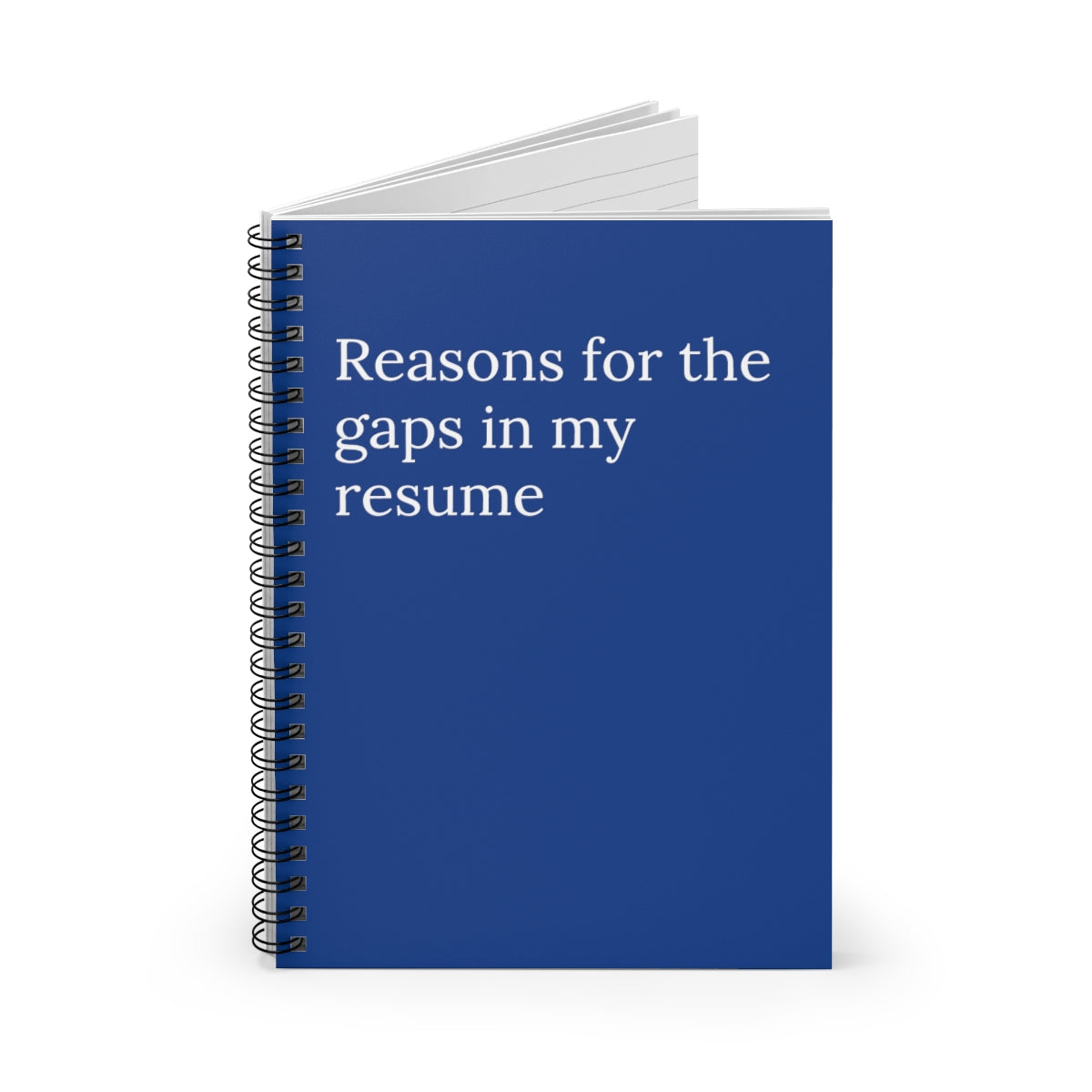Reasons for The Gaps in my resume employee Spiral funny notebook