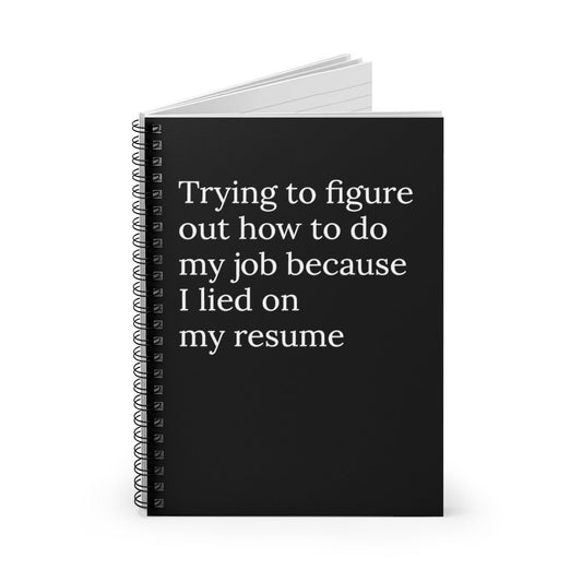 Trying to figure how how to do my job because I lied on my resume