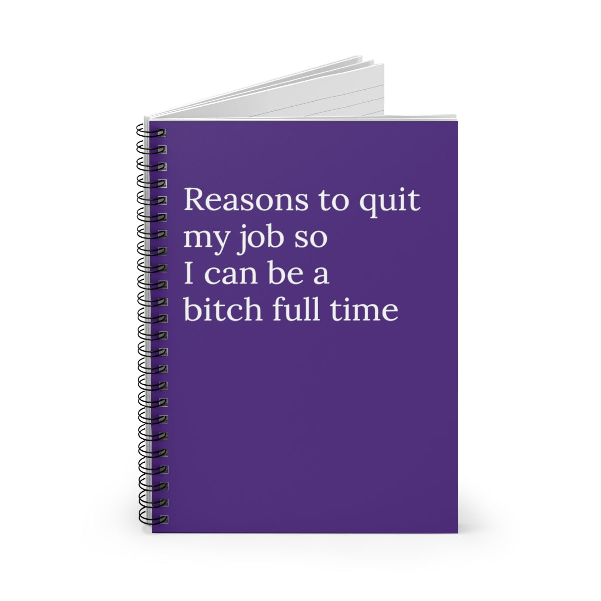Reasons to quit my job so I can be a bitch full time Funny Notebook