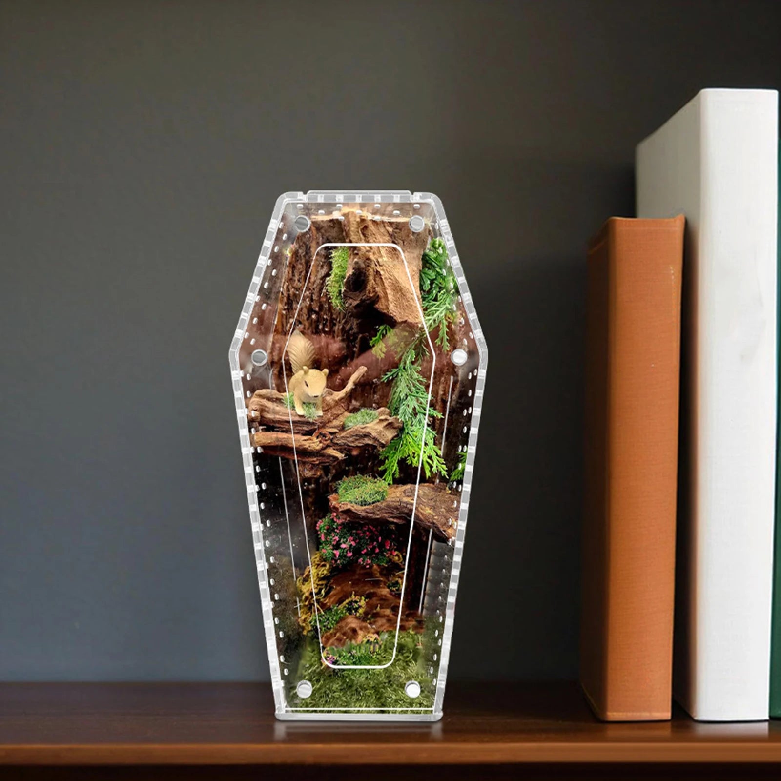 Gothic Coffin-Shaped Acrylic Spider Terrarium – Small Pet Habitat for Tarantulas & Hermit Crabs