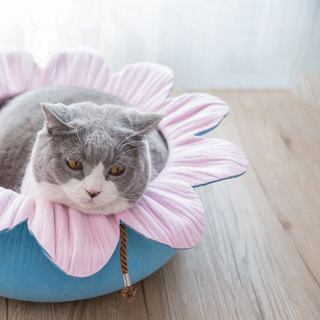 Lotus Leaf Shape Cat Bed House 100 Percent Cotton Gothic Cozy Hideaway For Cats Soft Plush Interior