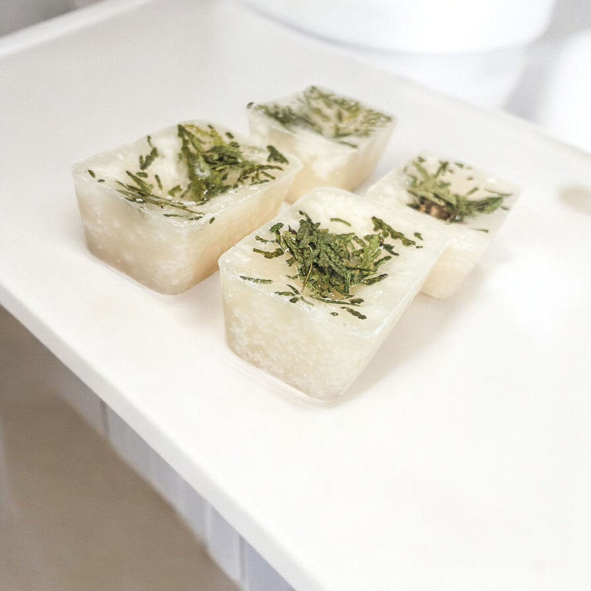 Christmas Tree XL Melts Celestial Gothic Evergreen Scent With Cedar Tips For Free Spirited Witchy Fashion Lovers