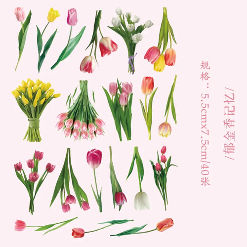 40 Pcs Green Leaf Decorative PET Stickers Set For Scrapbooking Plant Collection Nature Theme