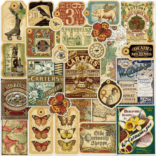 100 Pieces Vintage Aesthetic Stickers Set Plant Map Theme for Water Bottles and Journals