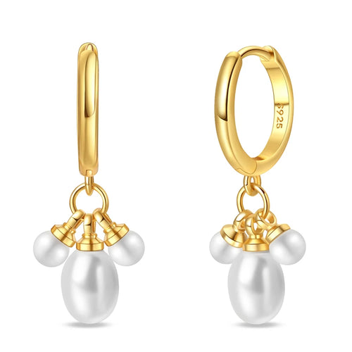 Classic Earrings 925 Silver Stars Moons Pearls Bees Golden Hoop