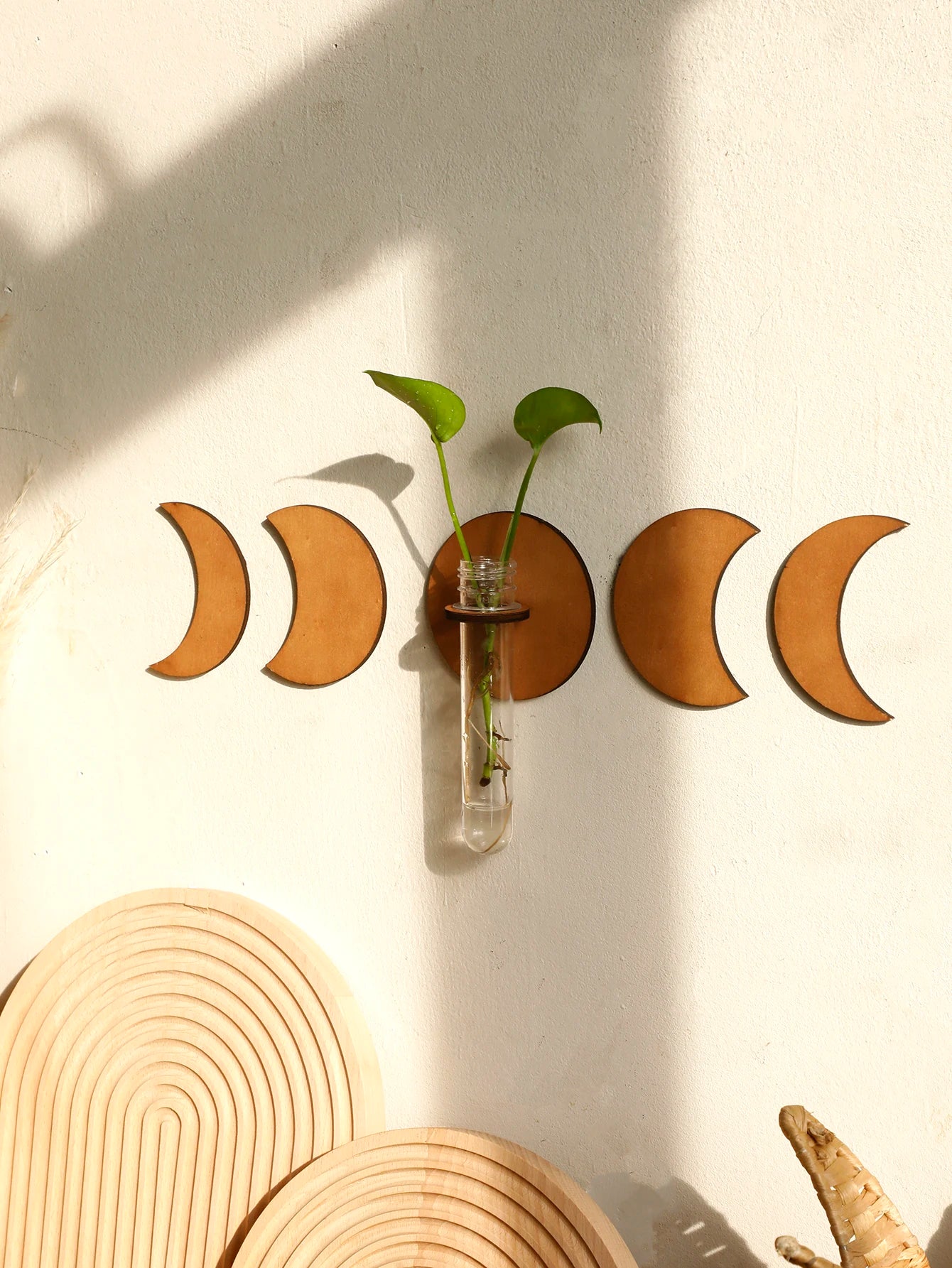 Plant Propagation Station Wall Hanging Moon Phase Home Decorations