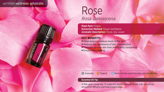 Rose Touch - Rosa Damascena - Essential Oil
